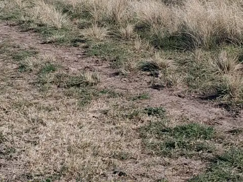 Terreno en Venta de 900,0 m2