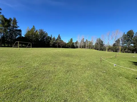 EPIFANIO MARTINEZ AL FINAL 100