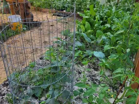Lago Puelo El Bolson Chubut
