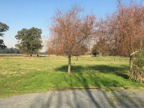 En VENTA Lote en Gral Rodriguez de 24 ha