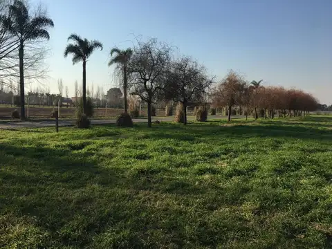 Gonzalo Tanoira General Rodriguez