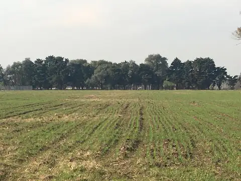 Gonzalo Tanoira General Rodriguez