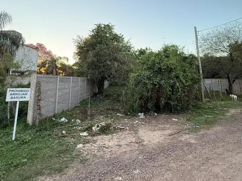 Perrando Julio C. 55