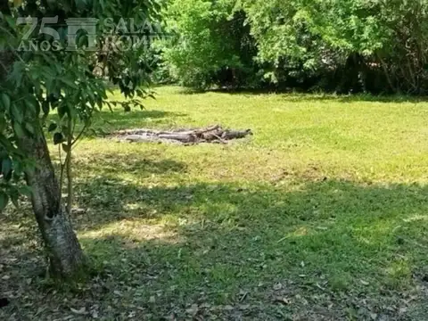 Terreno - Mart.-Fleming/Panam.