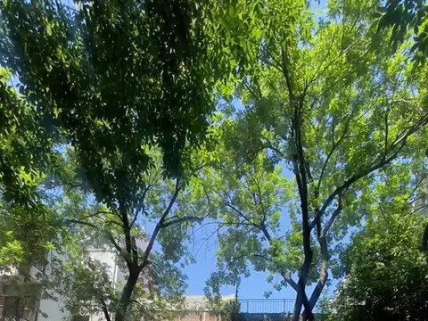 Manuela Pedraza 1700