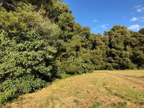 a 100 mts de la Ruta 2 100