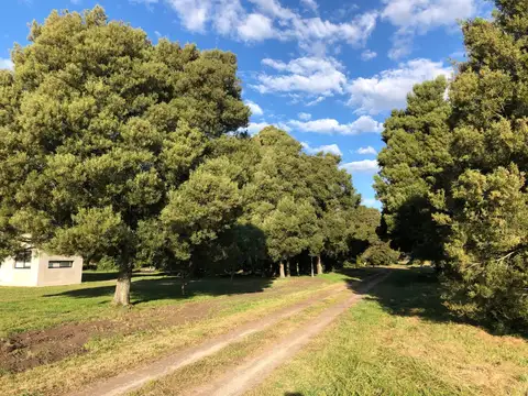 Terreno en Venta en Castelli, USD 29.000