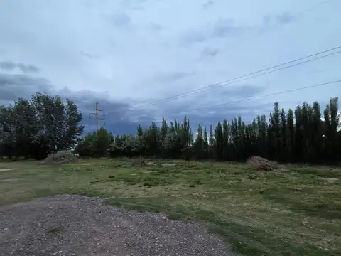 Terreno en Alquiler en General Roca, USD 2.800