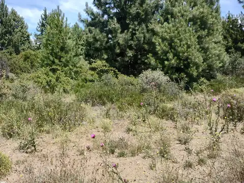 Terreno en Venta de 992,0 m2