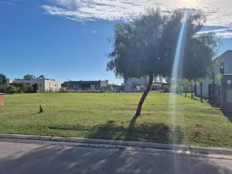 Silverio Basabe 3200