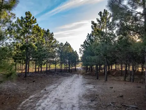 Terreno en Venta de 30139,0 m2