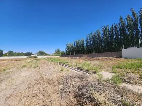 Terreno en Venta de 300,0 m2