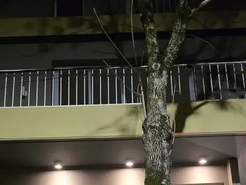 Tibiletti y Víctor Etcheverry