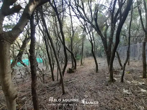 Terreno en Venta de 600,0 m2