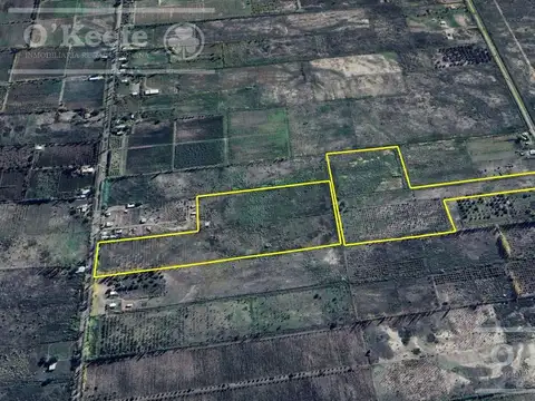 Oportunidad  Venta de 2 Fincas aledañas en Cañada Seca , San Rafael , Mendoza. Frutihorticola, Forra