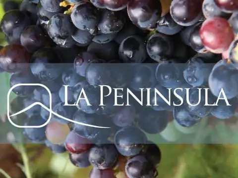 Terreno en Venta en Mari Menuco, USD 11.500