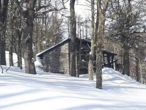 Las Pendientes - Cerro Chapelco 100
