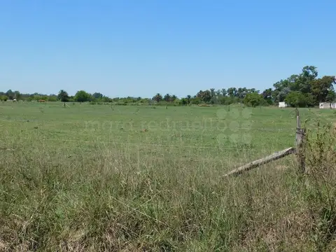 Terreno en Venta en Chascomus, USD 33.000