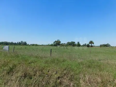 LOTE DE TERRENO EN VENTA FINANCIADA de 2500 mts EN CHASCOMUS