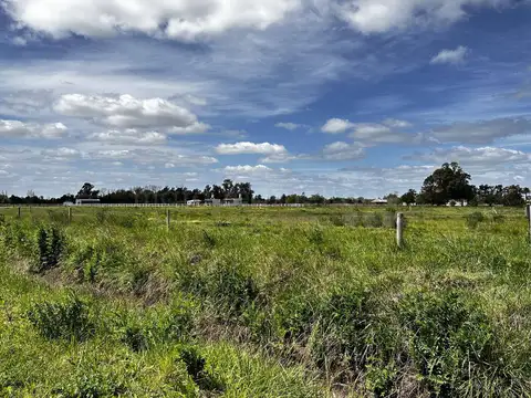 Terreno en Venta en Chascomus, USD 33.000