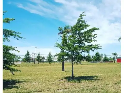 Lomas de Alicia - Granadero Baigorria - Lote 41 Manzana G