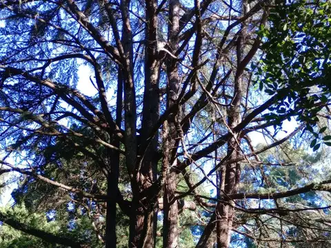 Quinta en Venta en Ranelagh, USD 240.000