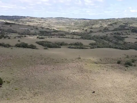 Campo de 52ha  con paisaje serrano en Garzon
