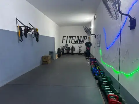 Concejal Tribulato 600