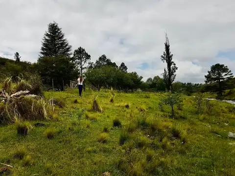 VENTA DE CAMPO  17 HECTAREAS EN POTRERO DE GARAY