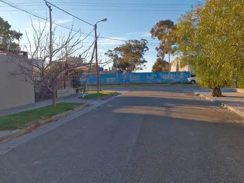 Teniente Coronel de la Peña 100