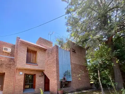 Domingo Zipoli al 1200