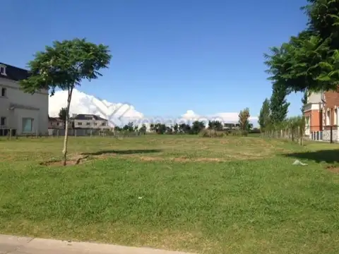 El Golf Nordelta 100