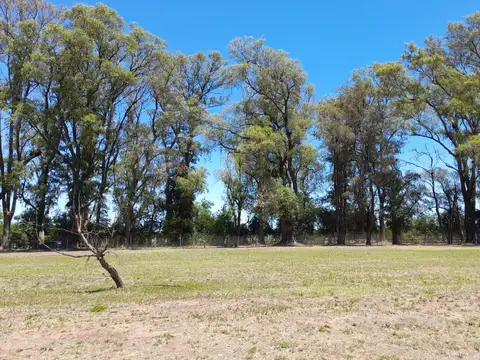 Av. Beschtedt al 2500