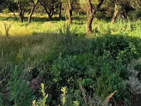 Terreno en Venta en Toay, USD 24.500