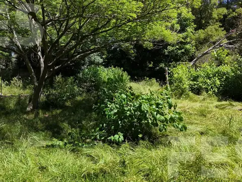 Terreno en Venta 15  mts Frente