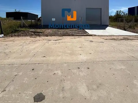 Polo Buen Ayre II - LOTE Nº 11