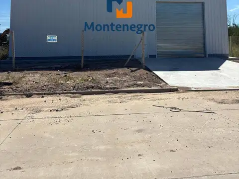 Polo Buen Ayre II - LOTE Nº 11