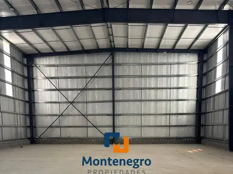 Polo Buen Ayre II - LOTE Nº 11