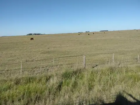 Campo en Venta de 1.400  ha