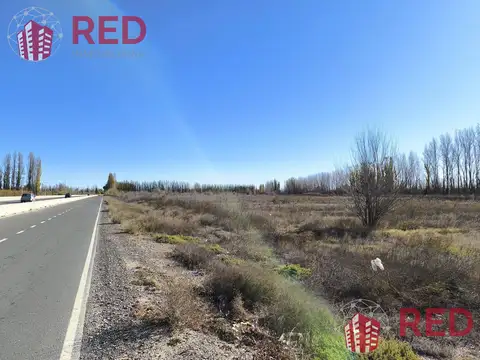 VENTA DE HECTAREAS INDUSTRIALES, COMERCIALES O PARA PRODUCCION SOBRE RUTA 22 - RIO NEGRO