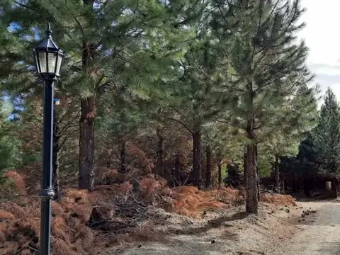 Terreno en Venta en Villa Pehuenia, USD 39.000