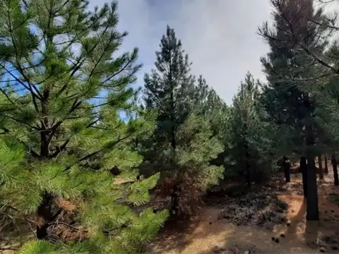 Terreno en Venta de 1110,0 m2