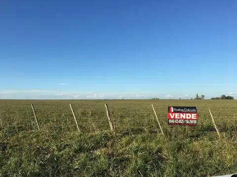 VENDO. 82 Hectáreas en Los Charrúas. Entre Ríos.