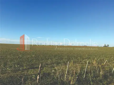 VENDO. 82 Hectáreas en Los Charrúas. Entre Ríos.