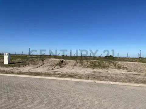 Mariano castex , Piso 0