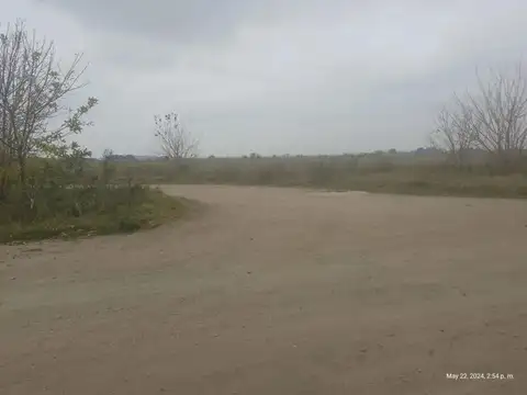 Rita De Ibarlucea 7500