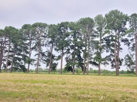 Terreno en Venta en Los Pinares Country Club, USD 34.000