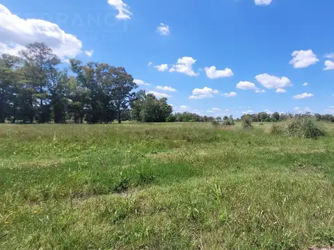 Terreno en Venta 50  mts Fondo