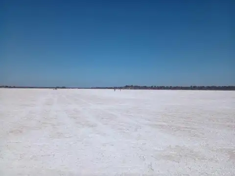 Campo de 24000 ha en Cruz del Eje Salinas de Córdoba apto ganadería y  explotación de sales