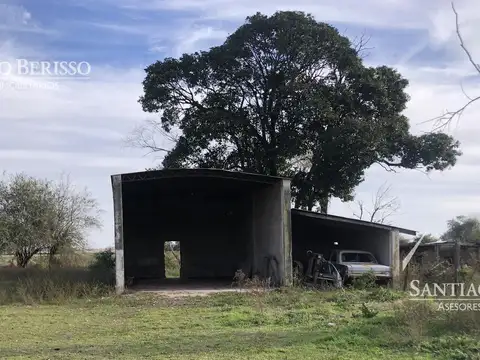 Agrícola. Zona industrial.